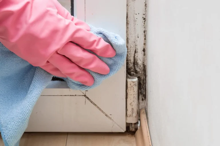 how to remove mold from koozie