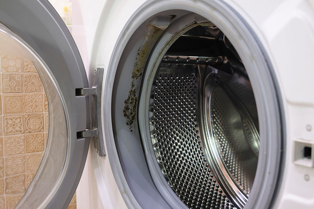 how to remove mold from washing machine